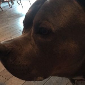 Meet your Posher, Cheng